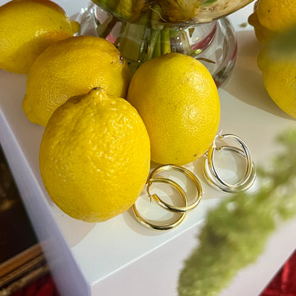 עגילי ״רובי״ | "RUBY" earrings